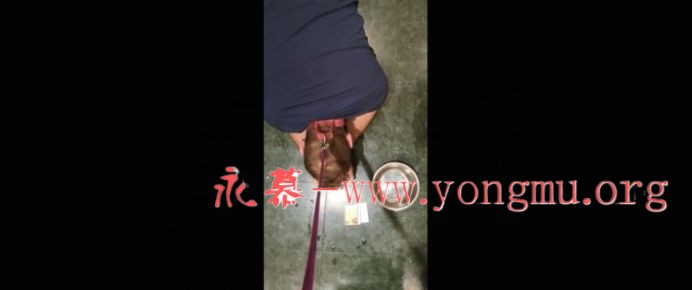 223215ny8r3vo4troe6hha.jpg