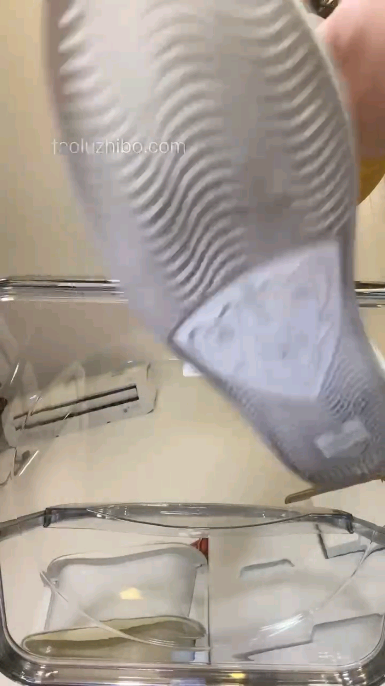 1730544312506.jpg