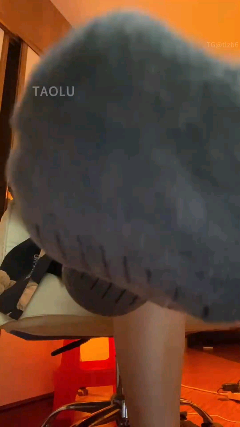 1730791368775.jpg