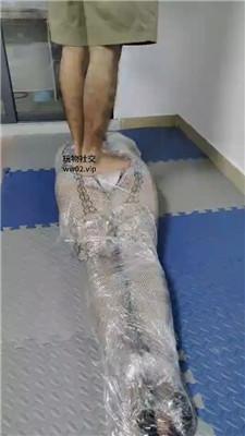 001425eaaarznx715vvp13.jpg 001425eaaarznx715vvp13.jpg