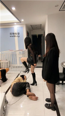 bx_20241129085237.JPG