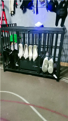 yy_20241231191328.JPG