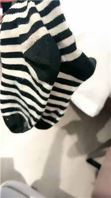 ml_20250101082442.JPG