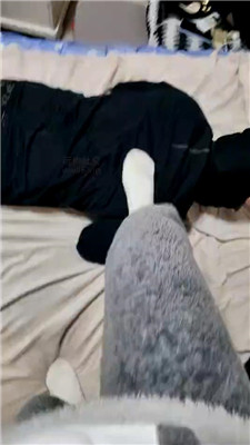 2501161956_20250116195830.JPG