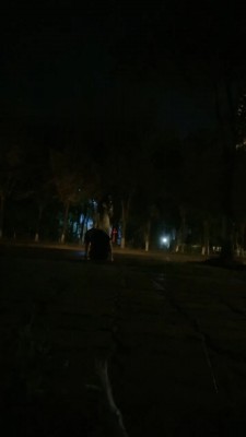 033805qelc66zqmapecxxh.jpg