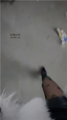 2502040709_20250204071028.JPG