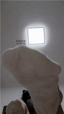 8 (4).JPG 8 (4).JPG