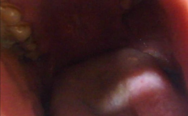 11 (14).jpg 11 (14).jpg