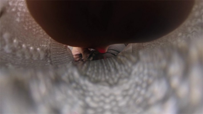 8 (16).jpg 8 (16).jpg