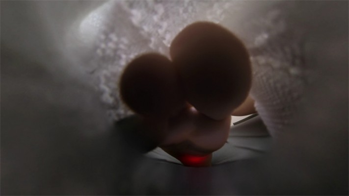 8 (17).jpg 8 (17).jpg