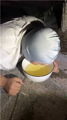 2508250504_20250825063927.JPG