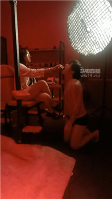 【白鸽契约】4328+4337