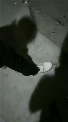 2508310653_20250831075802.JPG