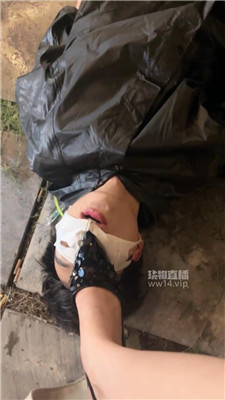 sy_20250917054700.JPG