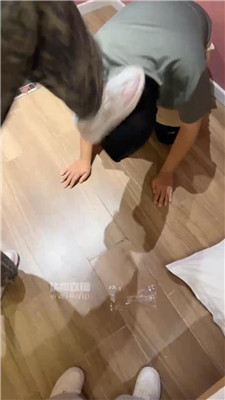 2509201905_20250920190820.JPG