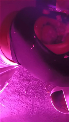 2509271410_20250927141906.JPG