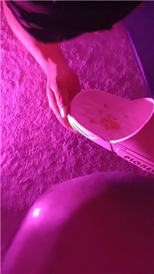 2509271410_20250927141950.JPG